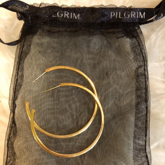 Big Gold Hoop Earrings - Picture 1 of 4